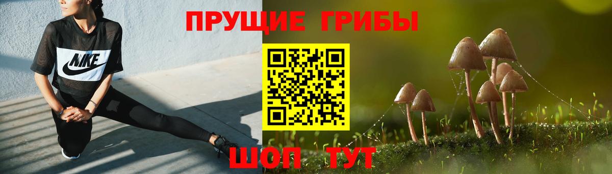 Псилоцибиновые грибы MAGIC MUSHROOMS  Вход с VPN  Кубинка 