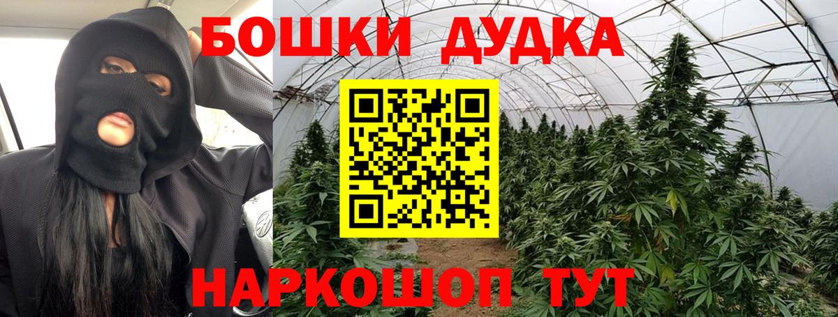 Каннабис OG Kush Кубинка
